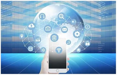 軟件開發(fā)成果保護 策略與實踐